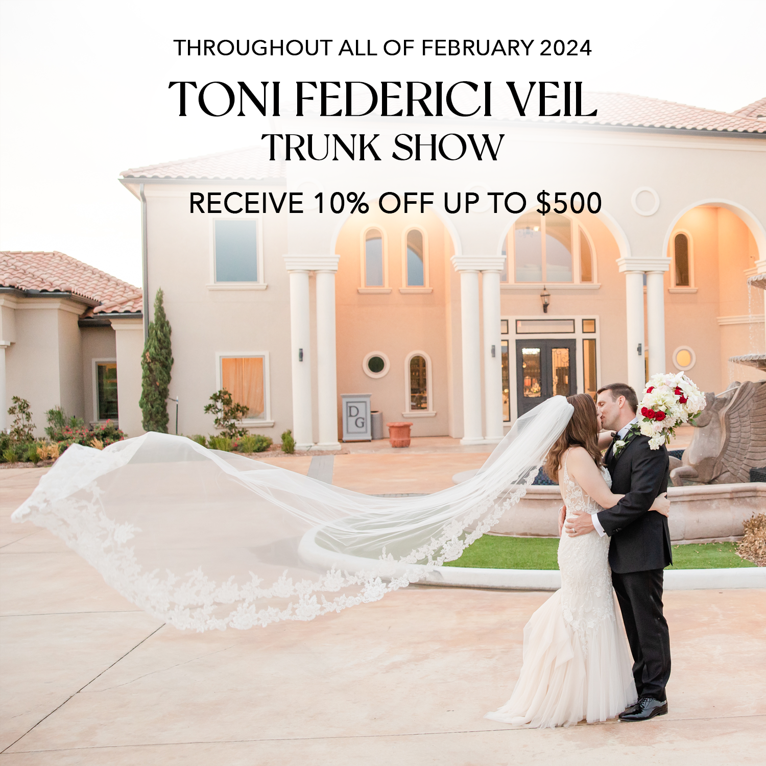 Toni Federici Veil Trunk Show February 2024 Main Image