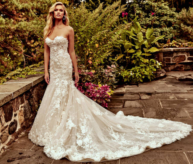 Eve of Milady In Store Bridal Bridal Dresses Stardust Celebrations